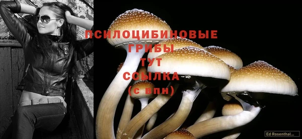 винт Балабаново