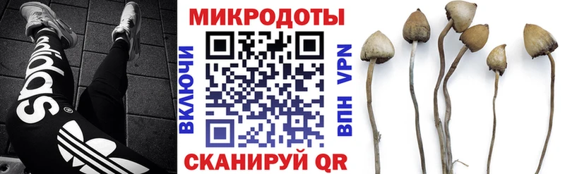 где найти   Озёры  Псилоцибиновые грибы GOLDEN TEACHER 